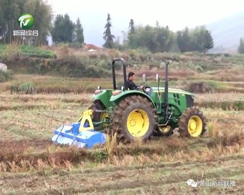 魏良富 以綠色安全鑄就品質，走精品農業的可持續發展之路