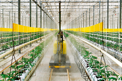 完善三大體系，筑牢農產品生產基石，助推鄉村產業振興