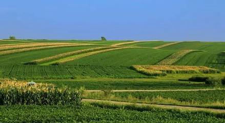 守好“米袋子”與“菜籃子” 糧食生產(chǎn)功能區(qū)和重要農(nóng)產(chǎn)品生產(chǎn)保護區(qū)迎來定向扶持新機遇