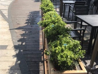 上海別墅庭院花園 從設(shè)計施工到綠化養(yǎng)護的全流程指南